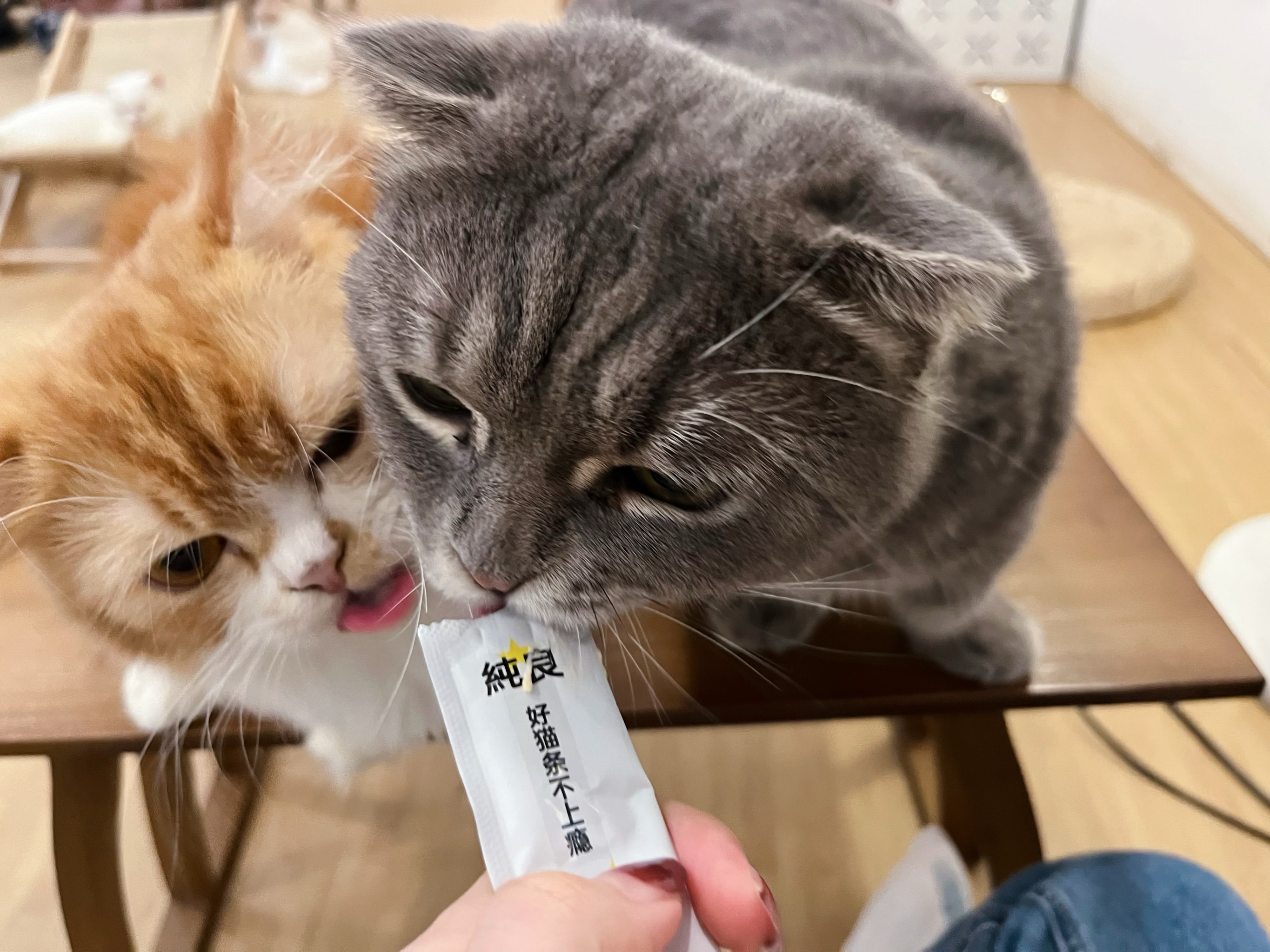 ??P	貓l	沯滀zo椼^?xV脄葪??,笟?厚?(z賾we噦zos)