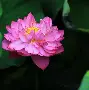 kaiyun-base码表